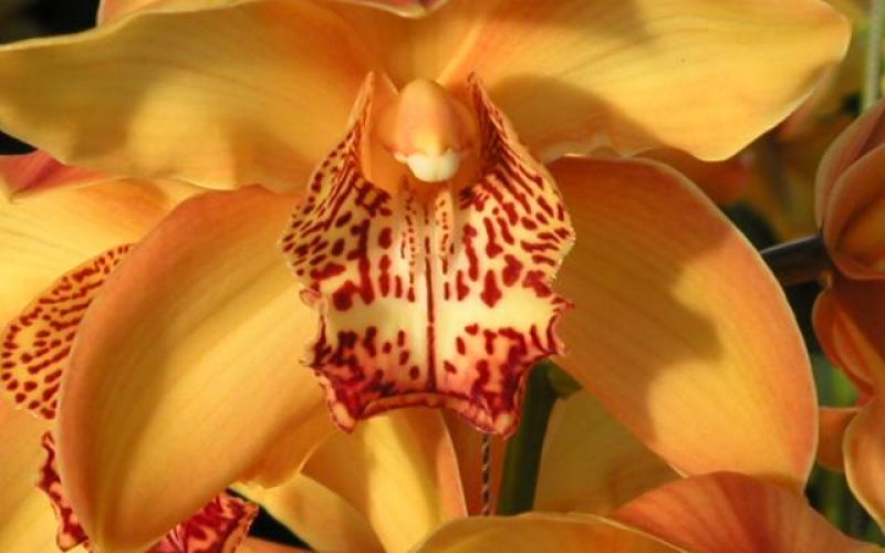 1gallery2