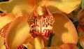 1gallery2