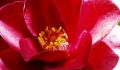 5gallery2